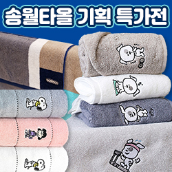 ��ǰ��ȹ���̹���