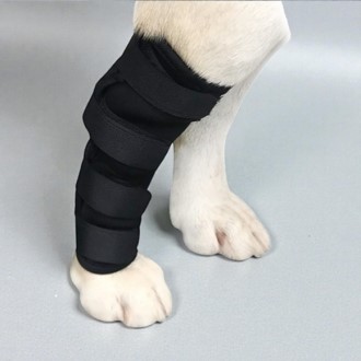 ������ �ٸ���ȣ�� (L)