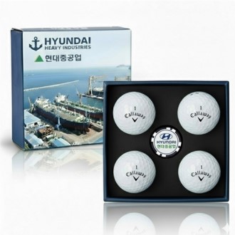 [����]Ķ������ CXR��Ʈ�� 4�� ����Ŀ Ĩ��Ʈ