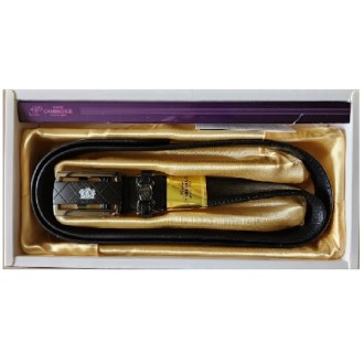 ķ�긮�� �ױ۷��� �ڵ���Ʈ(�Ϲ���)