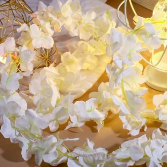 ���� ����� ��ȭ ���� (2M) / ���׸��� ��ȭ��Ĳ�