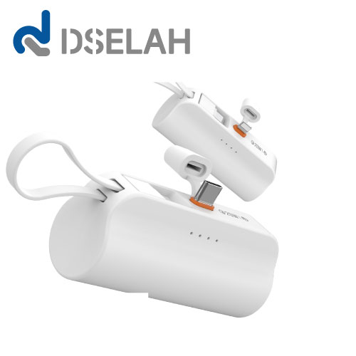 desleah �𼿶� 5000mAh 2In1 PD20W ���ӹ̴� ��ŷ�� �������͸�